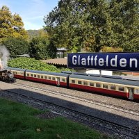 SBB RAe TEE und Climax im Bahnhof Glattfelden