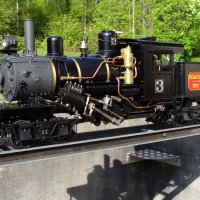 Rollmaterial » Dampflokomotiven » Climax